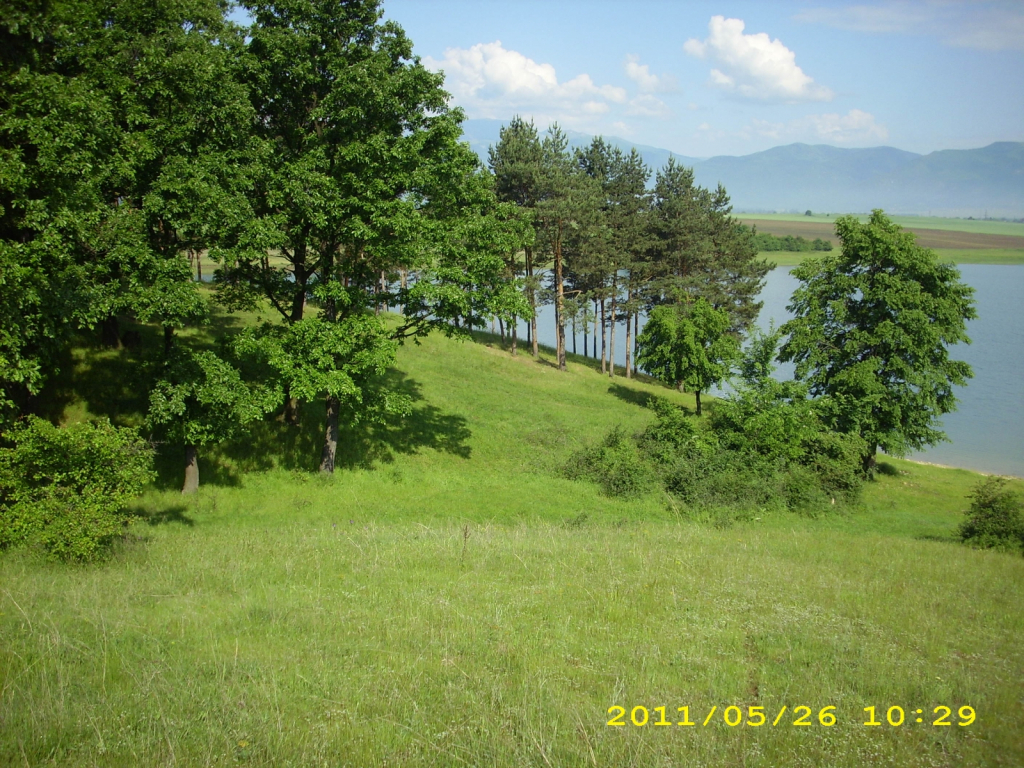Picture 014
