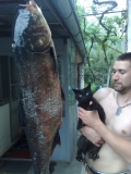 златната рибка