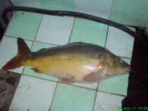 DSC01366