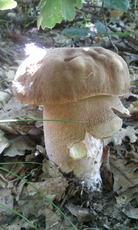 Снимки0348.jpg