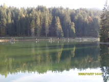 SDC11333