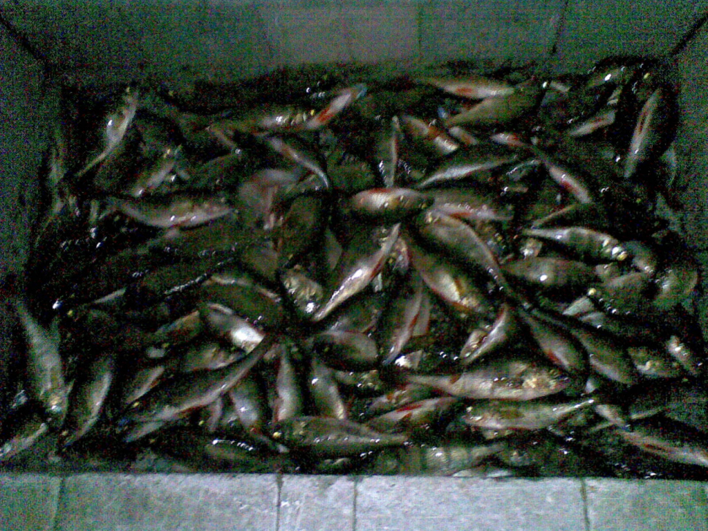 24092009