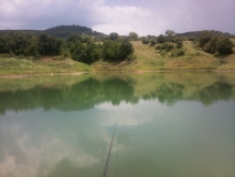 Photo077