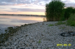 SV300396