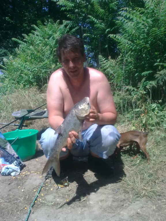 толстолоб