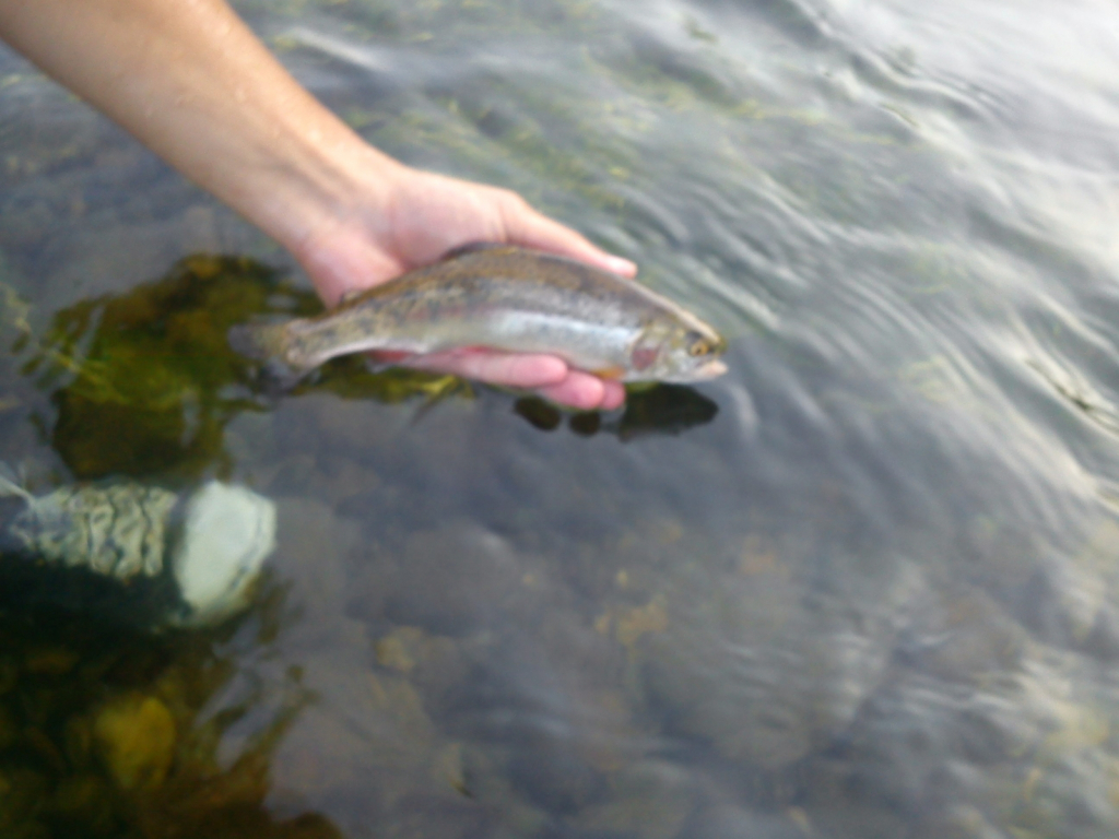 (00)DSC00752