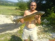 Kiko riba