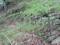 Зид на стръмен баир в гората (Old buildig in mountain) 1