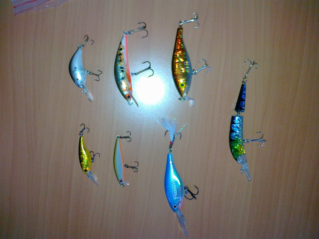 07072011029