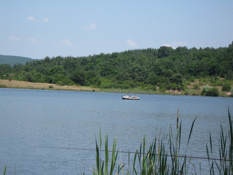 IMG 0580