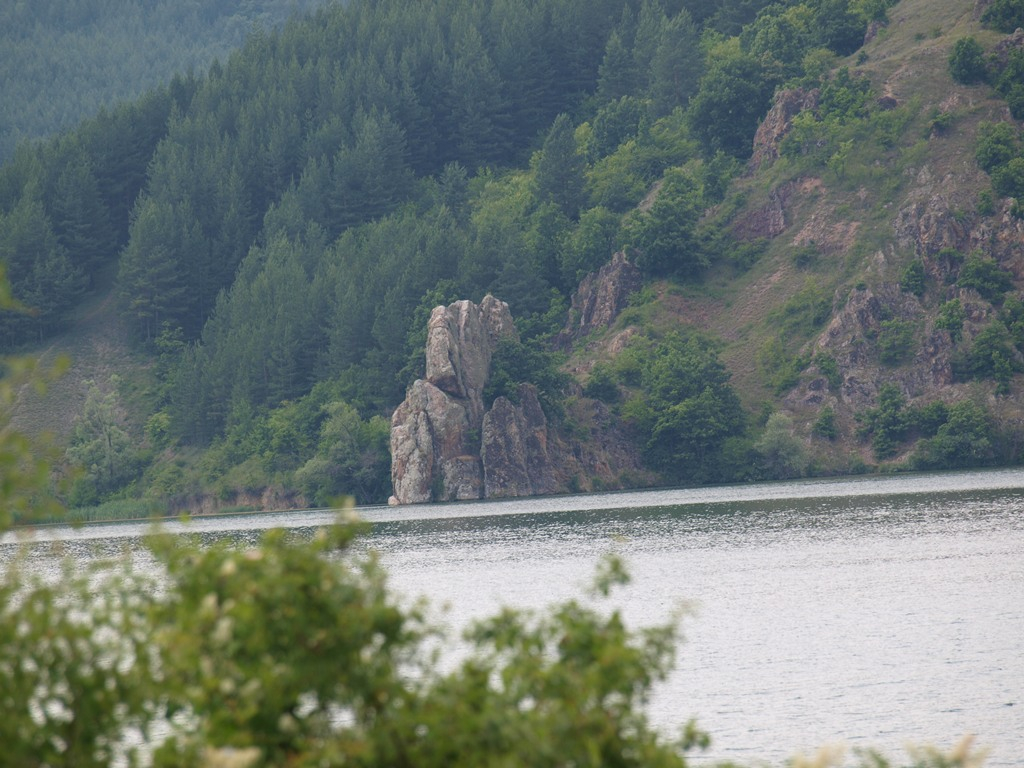 яз. Пчелина (Лобош)