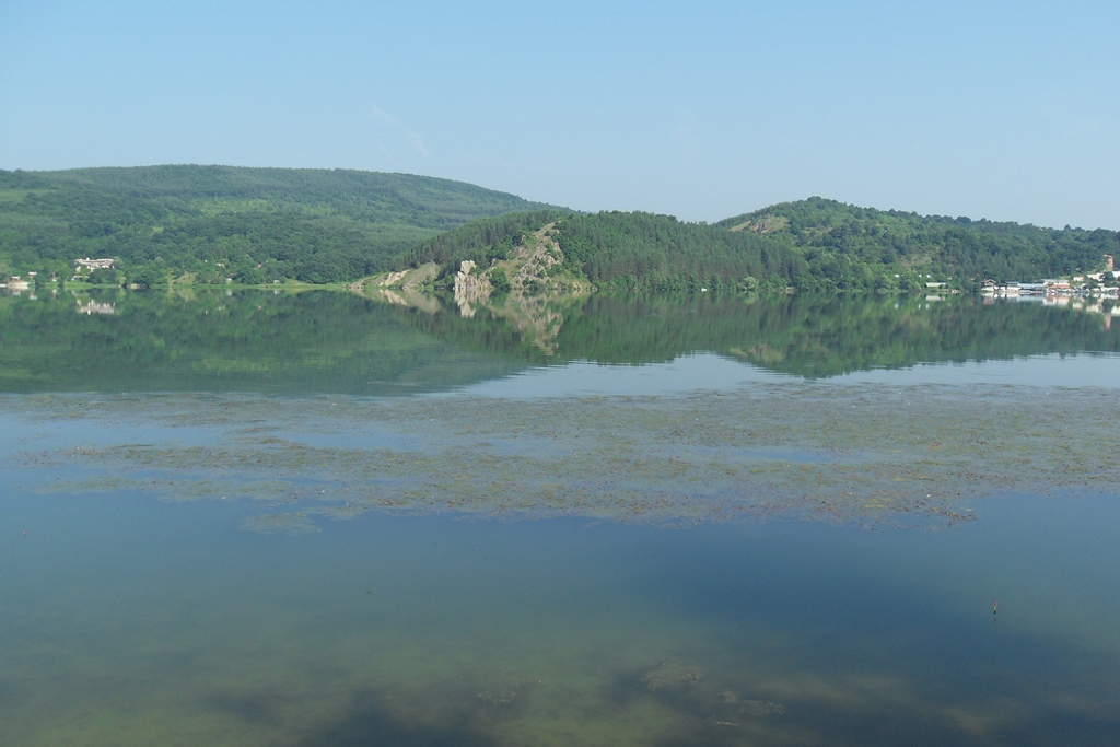 яз. Пчелина (Лобош)