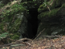 Cave in forest