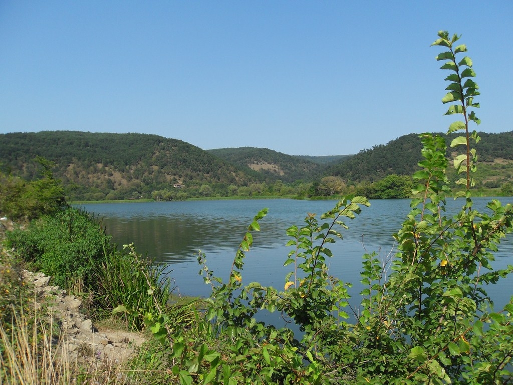 яз. Пчелина (Лобош) от към с. Радибош