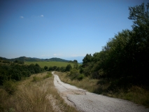 IMG 0872