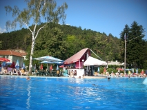 IMG 0895