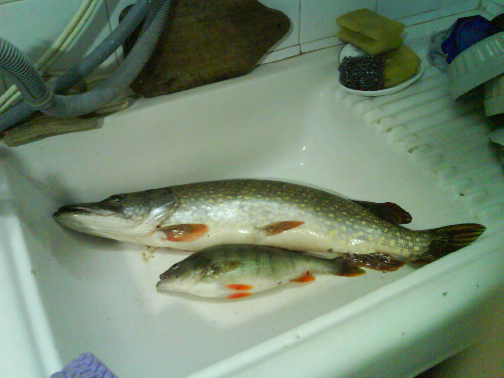 DSC00091