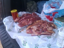 IMAG0310