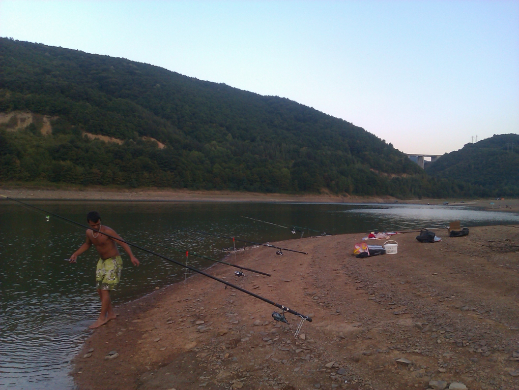 IMAG0311