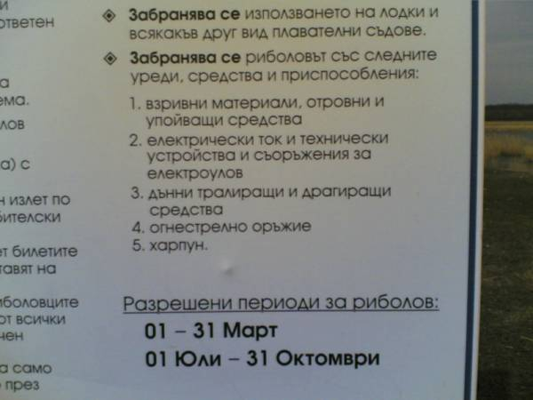 8815photo 119-med