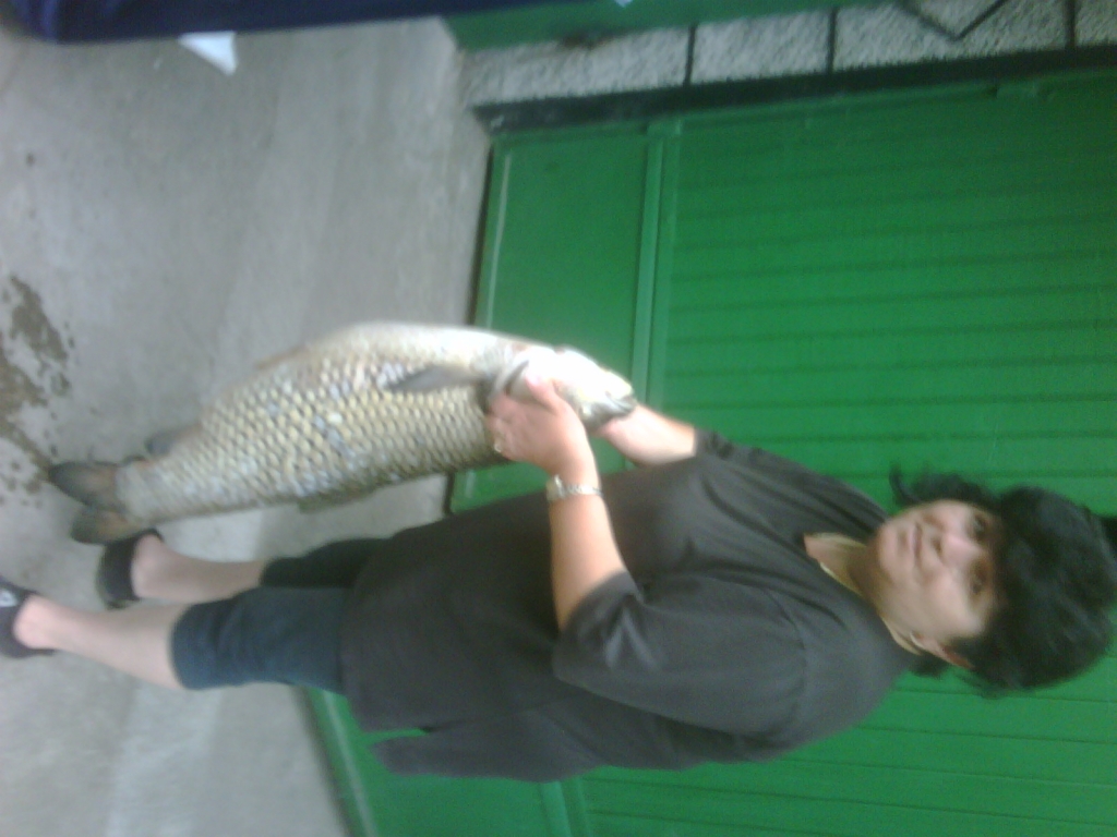 IMG00120-20110430-1759