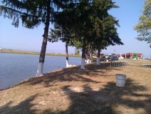 IMAG0338