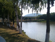IMAG0339