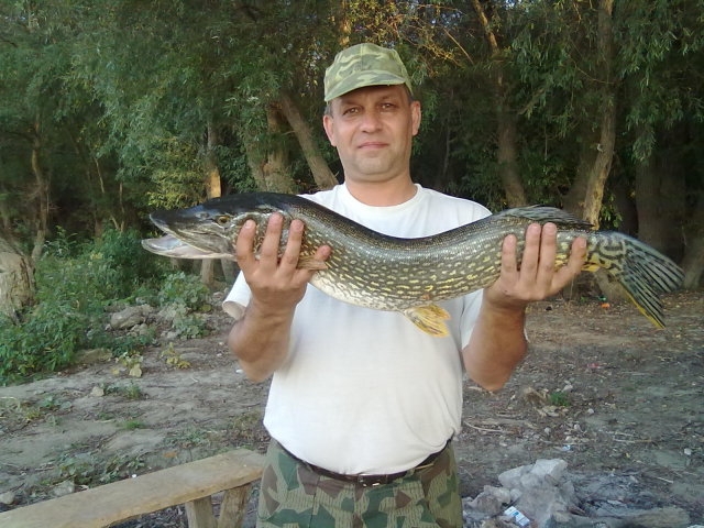 Shtuka 23 09 11