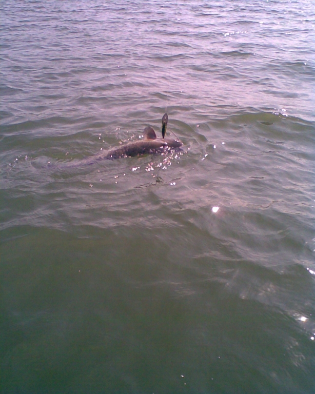 Image025