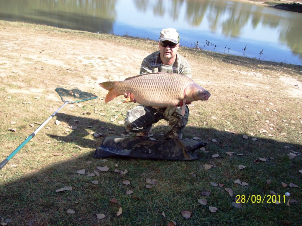 100 3507 Carp 13.400