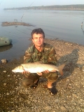 Бяла мряна(Дунавица).