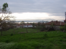 Picture 002