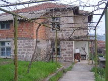 Picture 003