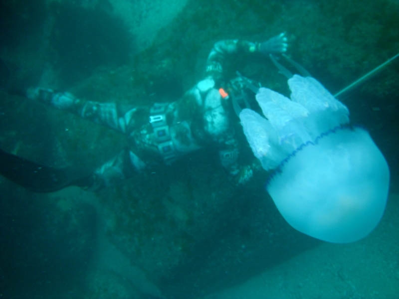 DSCF0948aa