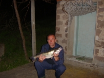 Picture 016