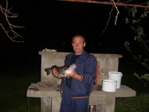 Picture 017