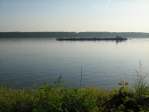 IMG 0167