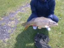 carp UK