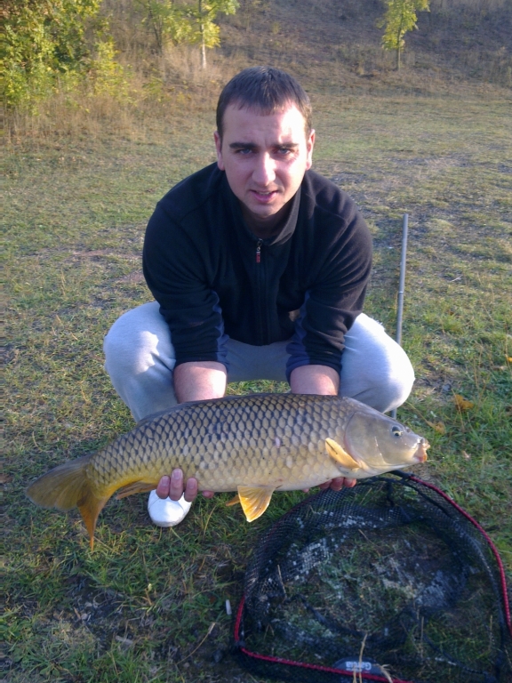 carp UK