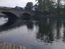 carp UK