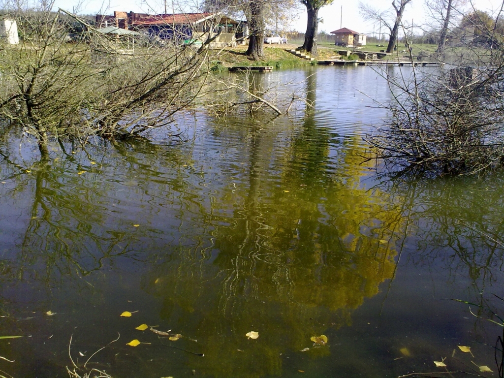 23102010318