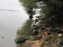 Photo 0045