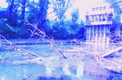 Photo 0079
