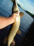 PIKE 2