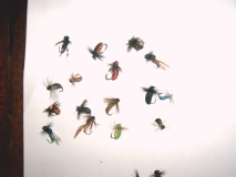 IMAG0065