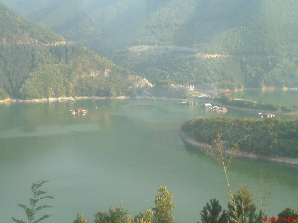 DSC01019
