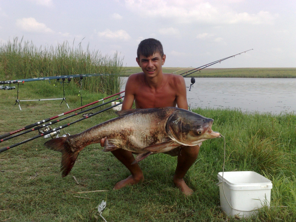 Tolostolob4e :D