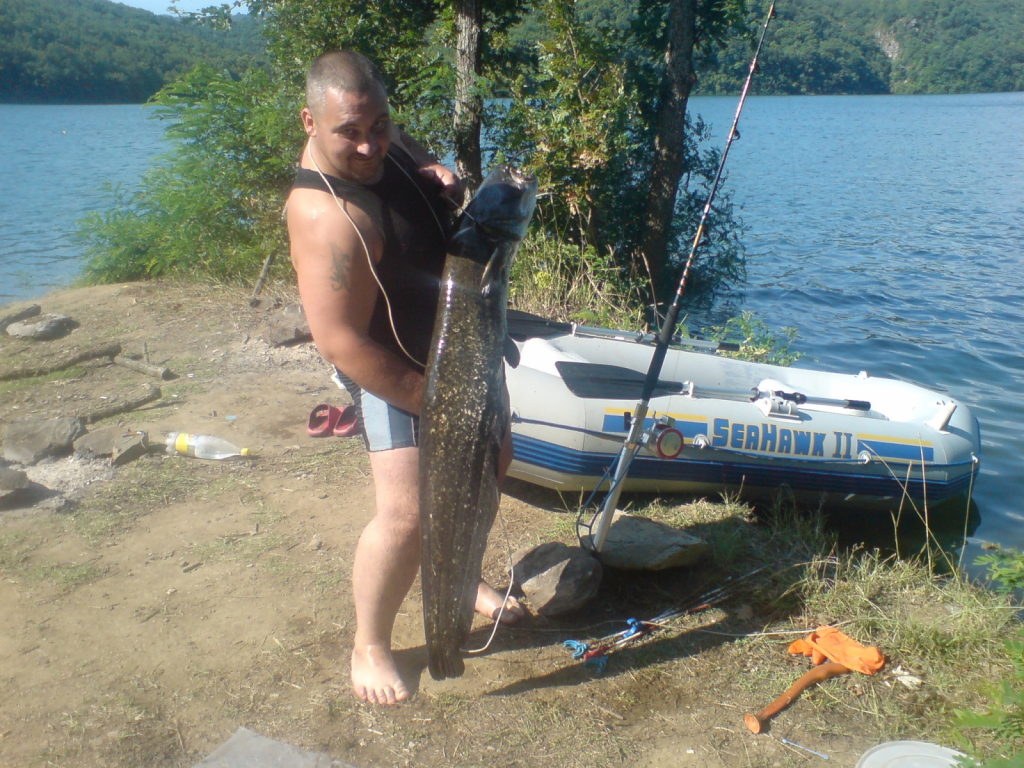 DSC00619