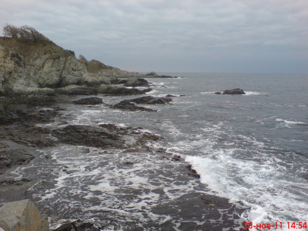 DSC02532