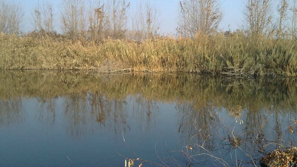 03122011057